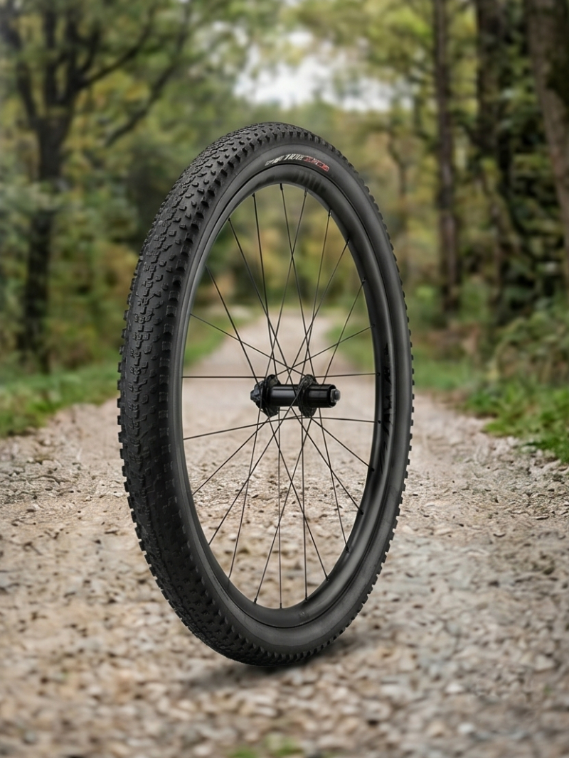 Corsa Pro Tires